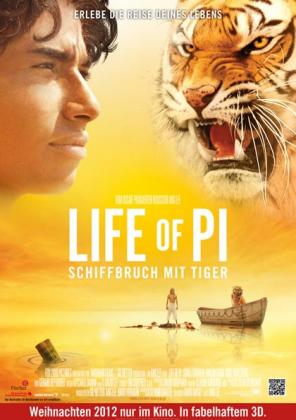 Filmbeschreibung zu Life of Pi: Schiffbruch mit Tiger 3D