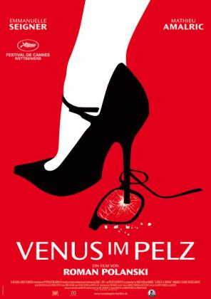 Filmbeschreibung zu La Vénus à la fourrure