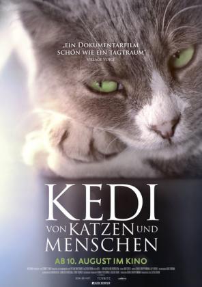 Kedi - Von Katzen und Menschen (OV)