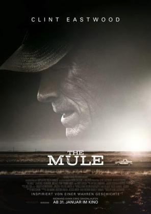 Filmbeschreibung zu The Mule