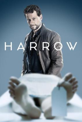 Filmbeschreibung zu Harrow - Staffel 1