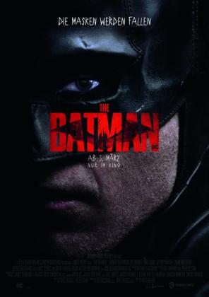 Filmbeschreibung zu The Batman 3D