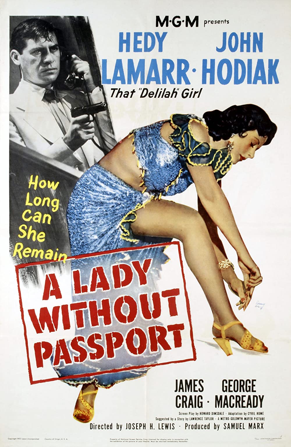Filmbeschreibung zu A Lady Without Passport