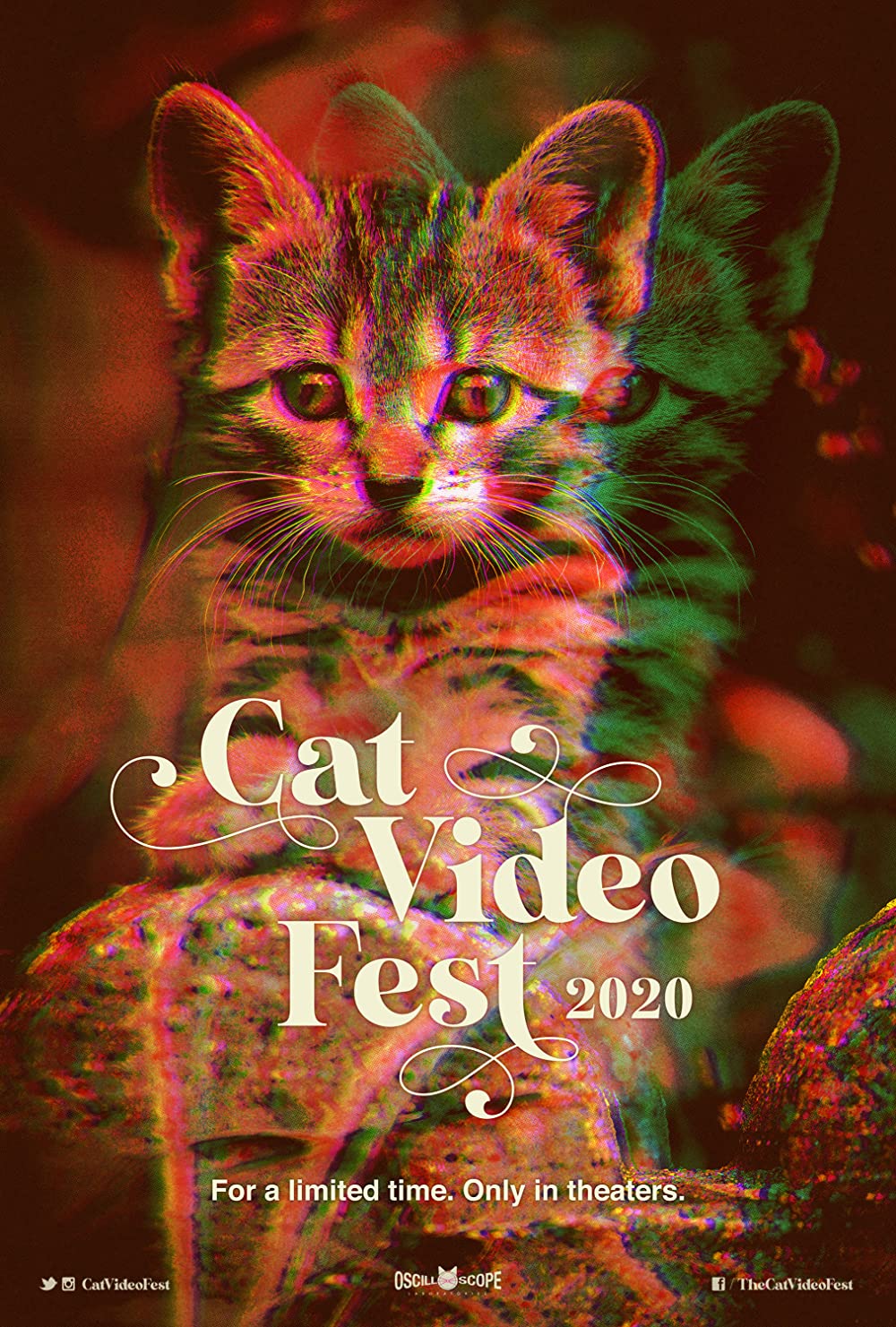 CatVideoFest2020