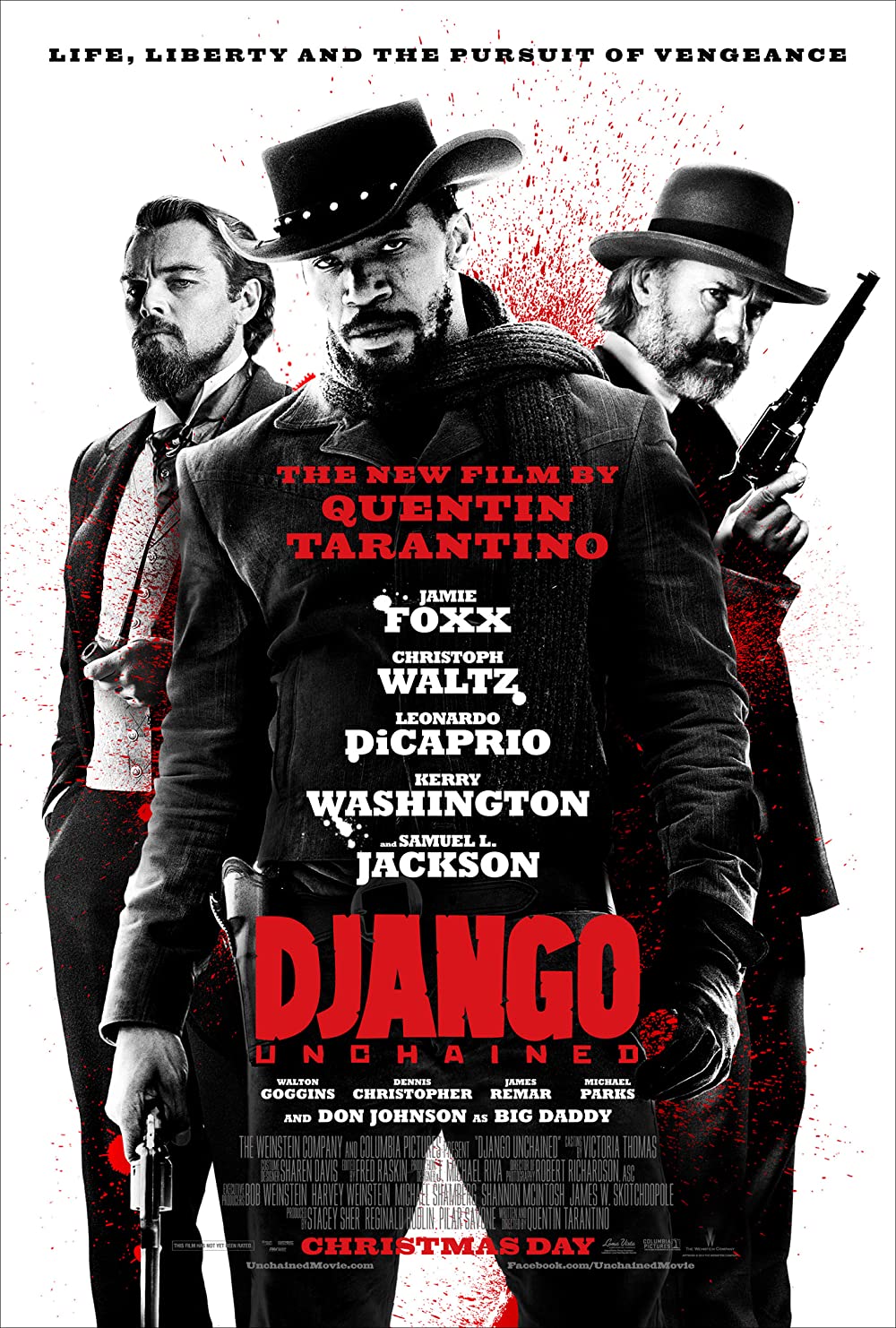 Filmbeschreibung zu Django