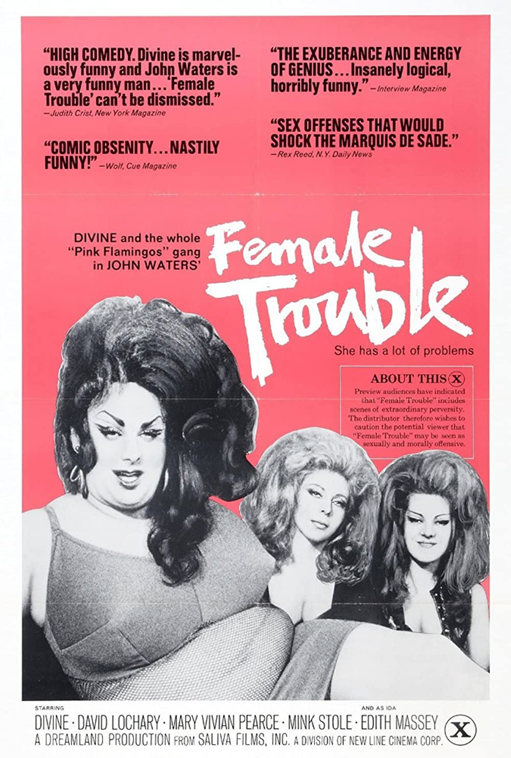 Filmbeschreibung zu Female Trouble (OV)
