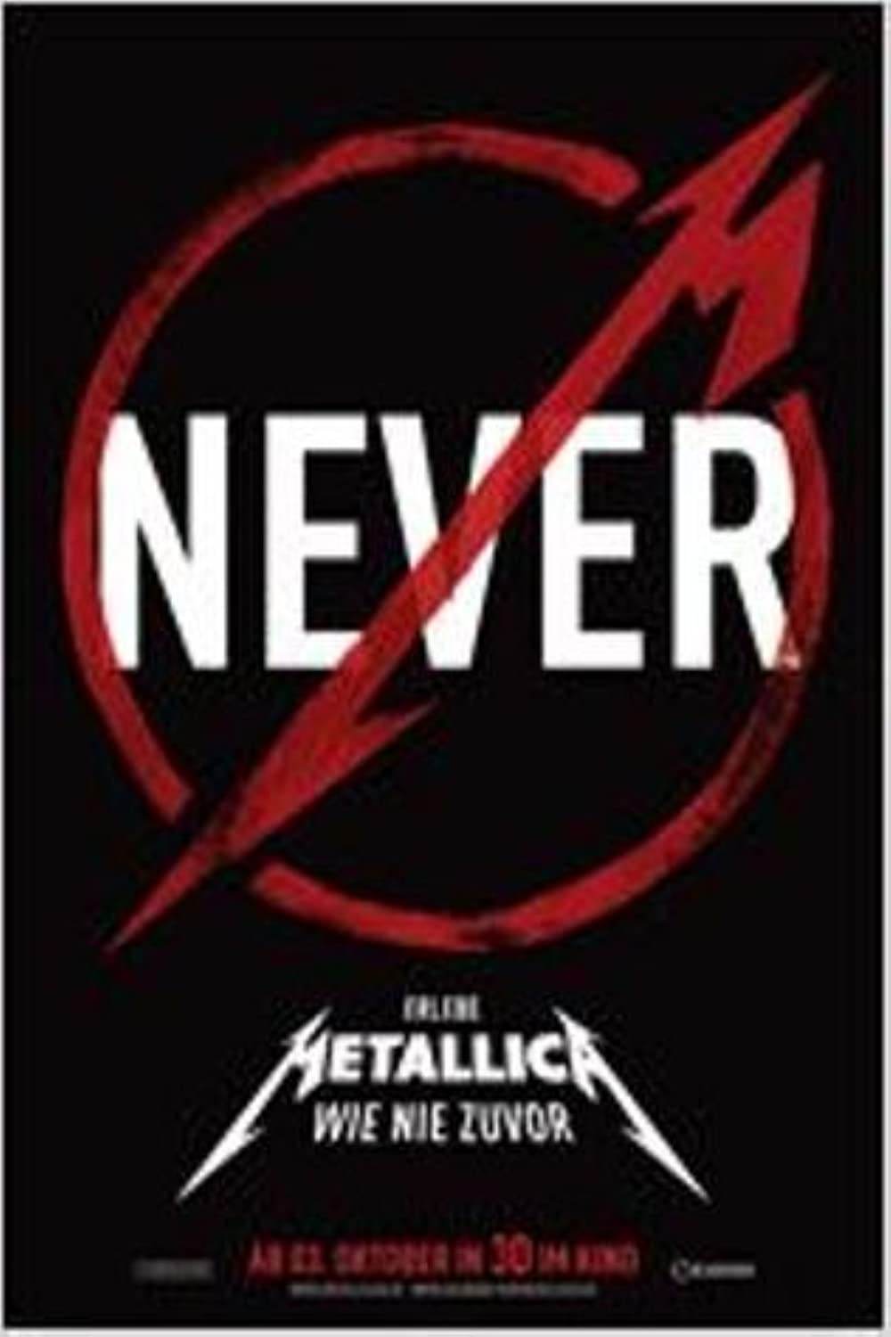 Filmbeschreibung zu Metallica Through the Never