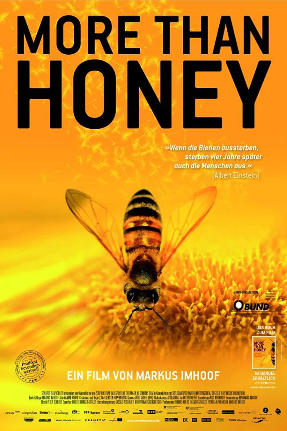 Filmbeschreibung zu More than Honey
